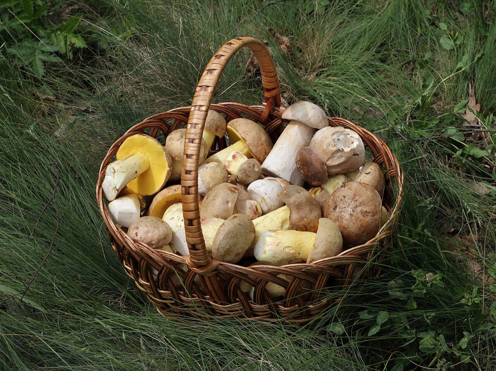 Panier d'Amchit en osier